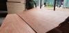 Commercial plywood Factory Price 12/18mm Malaysia Furniture