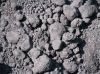 Petroleum Coke Best Quality