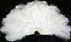 ostrich feather for sale