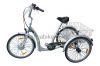 Electric Trike-good tools for going shopping