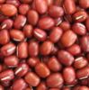 Sell small red beans