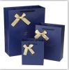 Fashional Custom Printed design Gift Shopping Big Strong Paper Bags with Your Own Logo