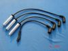 ignition cable set