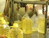 Refined Camellia cooking Oil for sale