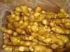 Fresh Ginger 100g-150g-200g-250g