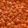 100% Red LENTIL/GREEN LENTIL(1-2mm. 3-5mm)