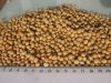 NON GMO dried cheap soybeans for sale