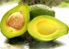 FRESH AVOCADO/ FRESH PERSEA AMERICANA/ FRESH AUGACATE/ FRESH CURA/ FRESH CUPANDRA/ FRESH PALTA/ FRESH ABACATE