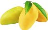 BEST PRICE & HIGH QUALITY - FRESH MANGO