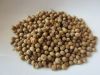 coriander seeds