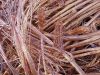 Copper Wire Scrap/Millberry Copper Scrap