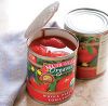 Canned Tomato Paste