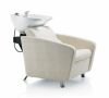 salon backwash shampoo chair wash unit