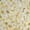 White Corn Non-GMO (White Maize)