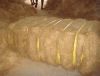 High Premium Quality Coconut Fiber, Para Aramid Fiber