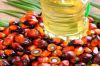 Palm Olein Oil/Vegetable Cooking Oil