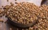 Roasted Buckwheat