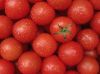 Farm Fresh Red Tomatoes