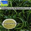 Sell Wakame Extract (5%-10% Fucoxanthin)