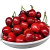 Fresh Cherries