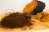 Chaga mushroom extact