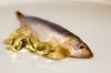 Crude & Refined Fish Oil