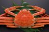 Live Snow Crabs For Sale / Frozen Slow Crab Legs