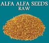 Alfalfa seed For Sale