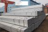 Galvanized Square Steel Pipe