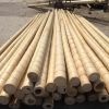 bamboo poles