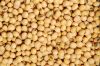 Soybeans