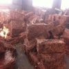 Quality of copper wire scrap 99.99%