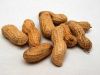 GROUNDNUT {PEANUT} EXPORT FROM NIGERIA