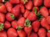 Good quality Raw Fresh frozen and Dried strawberry