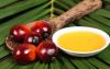 Palm oil