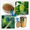 factory supply Botanical Extracts Tribulus Terrestris Extract