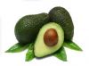 Factory Supply Best Quality Avocado Seeds