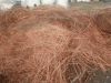 Copper Scrap, Copper Wire Scrap, Millberry Copper 99.999%