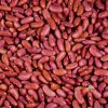 Cheap  kidney beans