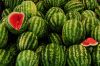 Cheap Fresh Water Melons