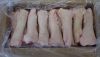 Cheap Frozen pork belly & frozen pork feet available for sale