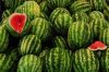 FRESH WATER MELONS