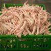 Frozen Chicken Feet / paws - Grade A Processed, 