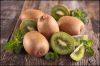 BEST QUALITY FRESH KIWI FRUIT