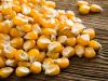 Yellow Maize For Animal Feed