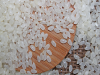 JAPONICA RICE 3%, 5% BROKEN GOOD GRAIN