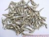 Wholesale Dried Fish / Dried Anchovy