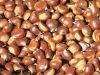 Organic Bulk Chinese Chestnut