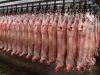 CARCASS/HALAL FRESH / FROZEN GOAT / LAMB / SHEEP MEAT /