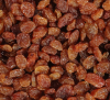 High Quality Dried Raisins